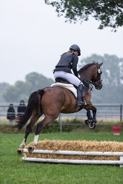 Bild 74 - Pony Akademie Turnier